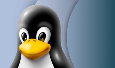 Key Linux systems may have security flaws which allow password theft