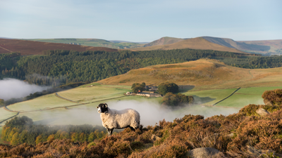 Pay to hike? Visitors could soon be charged to enter Britain’s oldest national park to plug a devastating drop in funding