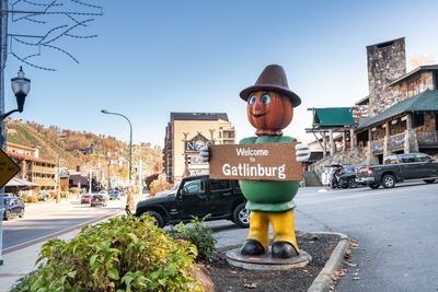 Vacationing With Pets in the Smokies: What to Know Before Bringing Your Furry Friend to Gatlinburg