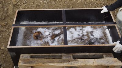 Blue-eyed 'Ice Prince' toddler was buried with a sword and a piglet 1,350 years ago in Bavaria