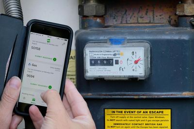 I can’t persuade Ovo that my gas meter really does exist