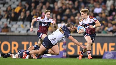 The Super Rugby factor proving a huge hit with fans