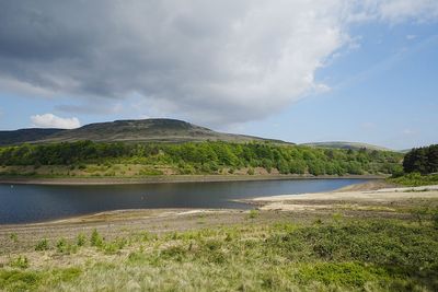 Interim water review ‘not the finishing line’ to fix failures, campaigners warn