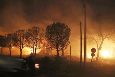 Ten guilty over Athens wildfire that killed 104 people as ‘lenient’ sentences spark outrage