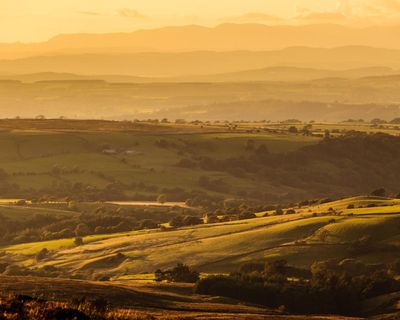 Revealed: 5,000 English nature sites at risk under Labour’s planning proposals