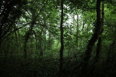 Ten jewels of English nature at risk from development and Labour’s planning bill