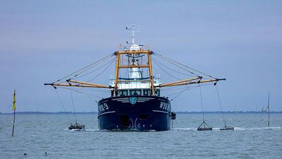 ‘A systemic problem’: Legal action targets EU’s failure to stop bottom trawling in protected areas