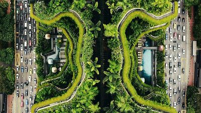 ‘We don’t need a disaster to justify resilience’: Climate projects can bring big economic benefits