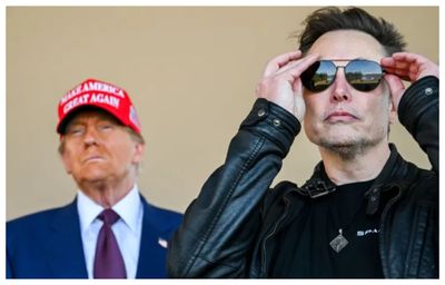 Musk Shocks Tesla Staff After Asking If Trump's Tariffs Were Affecting His Company: Report