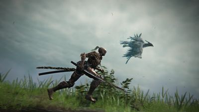 How to play solo in Elden Ring Nightreign