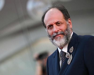 Luca Guadagnino set to direct fact-based drama about OpenAI