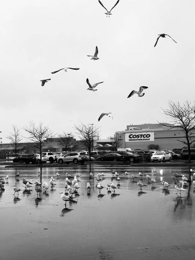 8 Costco Membership Perks That Aren’t Worth the Annual Fee (For Some People)