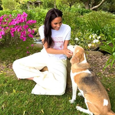 All About Meghan Markle and Prince Harry's Two Rescue Dogs, Mamma Mia and Pula