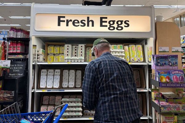 One of the nation’s largest egg producers has lost 95% of its chickens to bird flu. It could spell price hikes