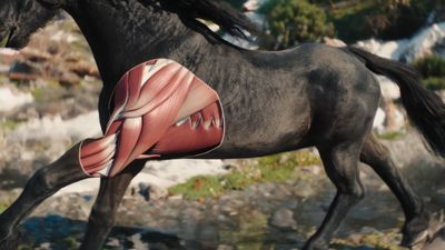 The Witcher 4 sees Red Dead Redemption 2's horse anatomy and submits "realistic muscles moving and stretching" under the skin of Ciri's horse Kelpie