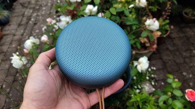 Bang & Olufsen Beosound A1 (3rd Generation)