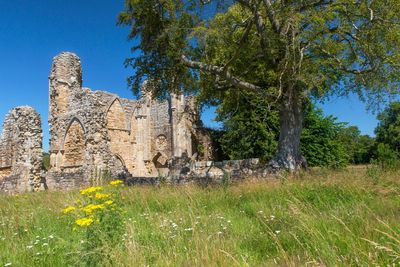 Charity searches for descendants of rioters involved in 1525 uprising