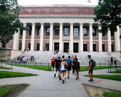 ‘They are in shock’: Indian students fear Trump has ended their American dream