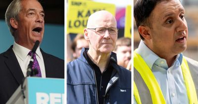 What are the big issues dominating the Hamilton by-election?