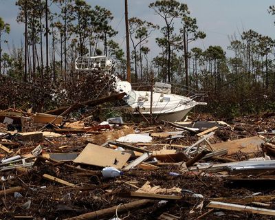 Weatherwatch: How 60 species are just one cyclone away from extinction