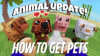 How to Get Pets in Build an Island