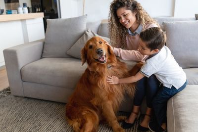 How having a pet dog can alter some children’s immune systems