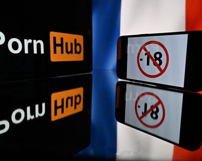 Pornhub owner to suspend site in France in protest at new verification law