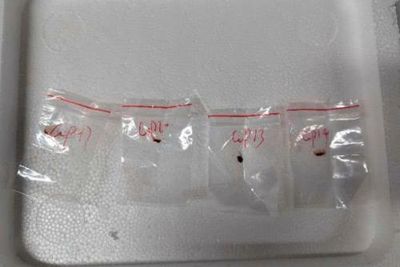 Potential ‘agroterrorism weapon’ fungus smuggled into US by Chinese scientists, FBI alleges