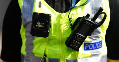 Police officer faces the sack after racist jibe left colleagues shocked