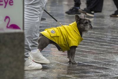 Heavy rain and thunder could hit parts of UK this week – Met Office