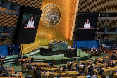 The five new countries added to the UN Security Council