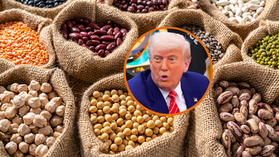 ‘We’re going to starve’: Trump admin ushers in future famine with bone-headed research cuts