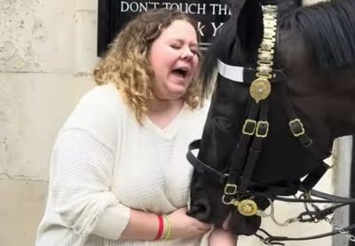 Shocking moment King's Guard horse chews tourist's arm after she stands too close