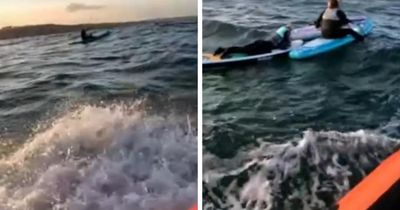 Paddleboarders rescued after drifting out to sea off Scottish coast
