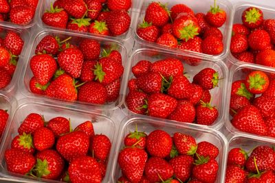 Strawberries bucking the trend to get bigger and cheaper in 2025 – here’s why