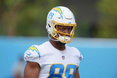 Steelers TE Donald Parham Jr Tears Achilles, Out for 2025 Season