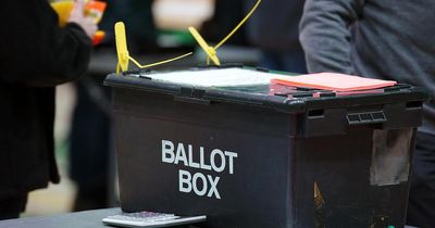 POLL: How would you vote in the Hamilton by-election?