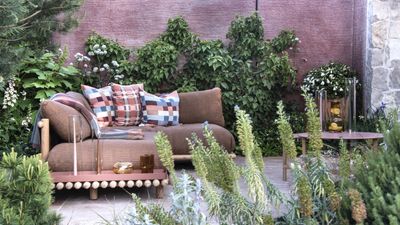 Best container plants for privacy – 5 beautiful plants for instant screening and gentle structure