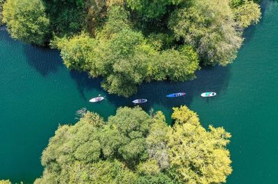 The seven best paddle boarding routes in London: from Tottenham to the Isle of Dogs