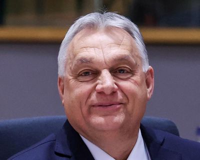 Hungary postpones vote on law to curb foreign-funded organisations