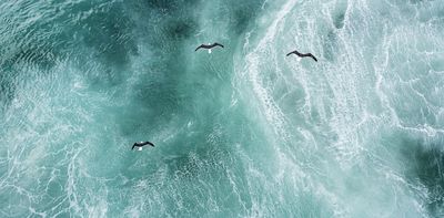 Unprecedented heat in the North Atlantic Ocean kickstarted Europe’s hellish 2023 summer. Now we know what caused it