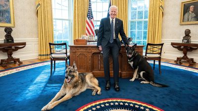 10 things you didn’t know about Joe Biden’s dogs