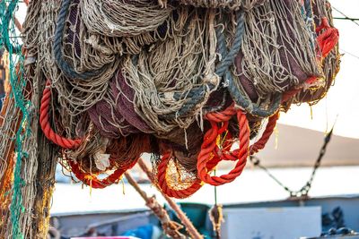 Government facing increasing pressure to ban bottom trawling in protected areas