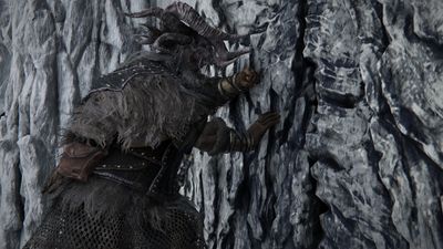Elden Ring Nightreign Raider build, tips, and best weapons
