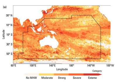Marine heatwave found to have engulfed area of ocean five times the size of Australia