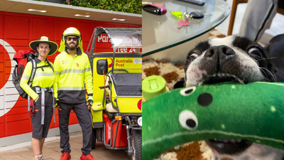 Australia Post Is Rolling Out Citronella Spray For Posties To Help Stop Dog Attacks