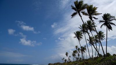 Australia, Pacific rocked by ocean heatwaves in 2024