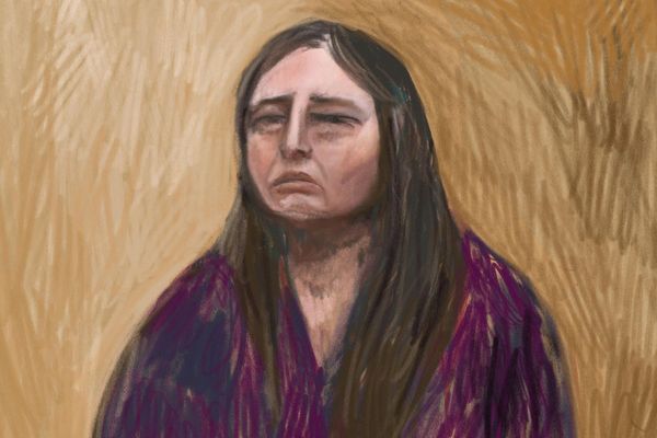 Erin Patterson denies knowingly preparing death cap mushrooms in dehydrator she later dumped