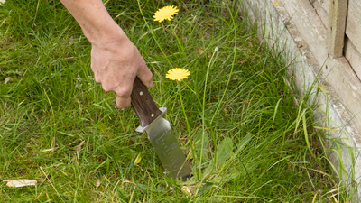 I used to hate weeding until I discovered this Japanese gardening knife — now I know why it's such a garden staple