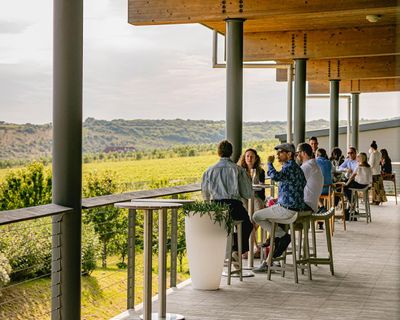 The joy of Sussex: how English wine came of age